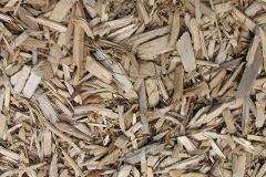 biomass boilers Pitmunie