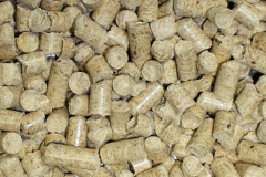 Pitmunie biomass boiler costs