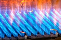 Pitmunie gas fired boilers